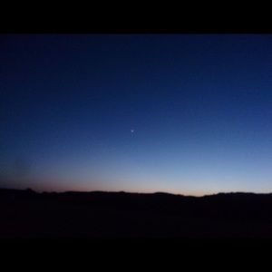 Meet your Posher, Amelia